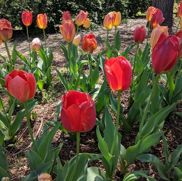 Meet your Posher, Katie - Picture 1 of 1